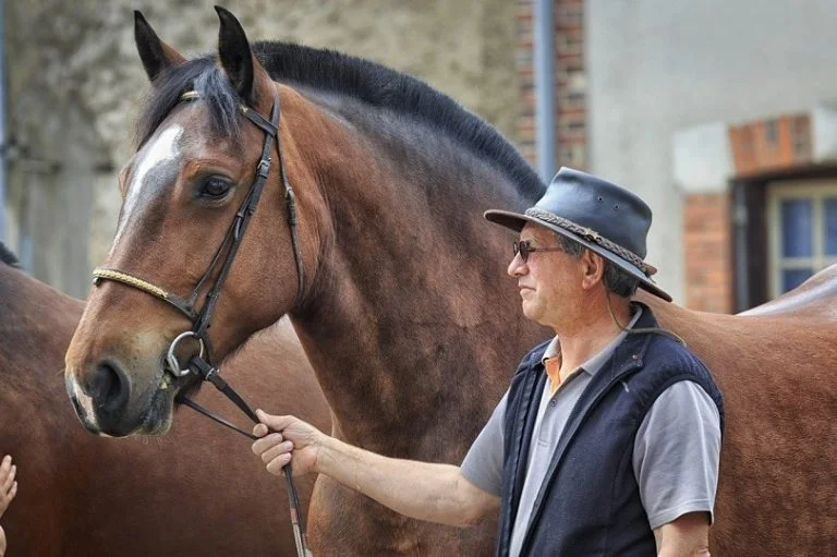 Bond with Your Horse 